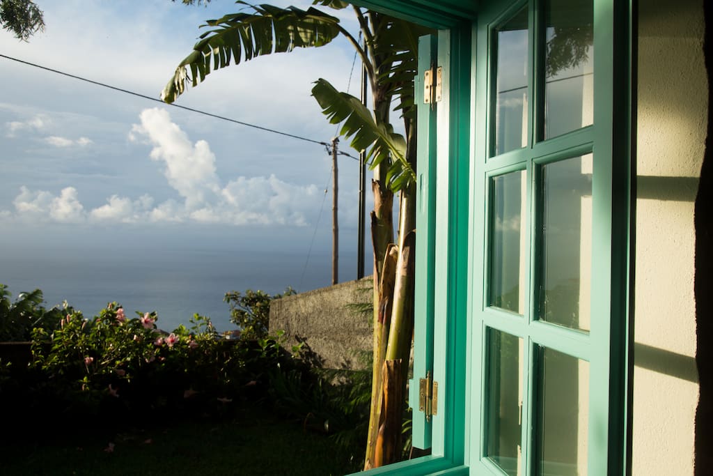 View from the bedroom window out to the sea with a banana tree too.