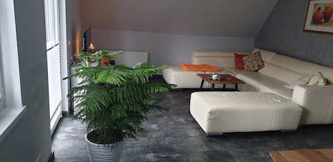 Newly renovated apartment on the Mittelland Canal