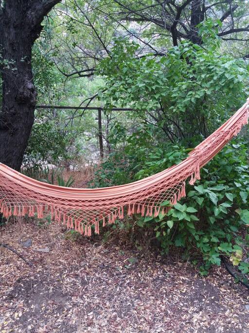 Hamacas disponibles para un dulce descanso