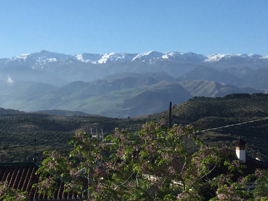 View from your room in spring