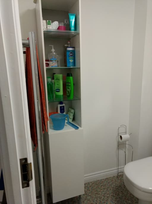 Spacious Private Bathroom - Storage