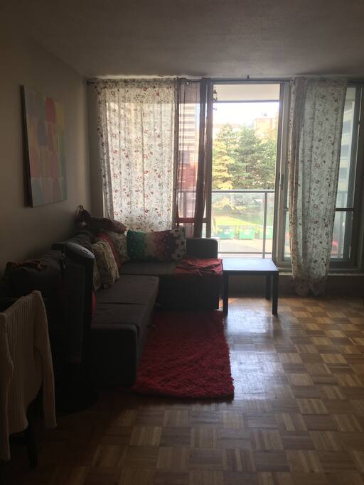 The living room and balcony. I'd sleep here at night with my dog in the sofa bed