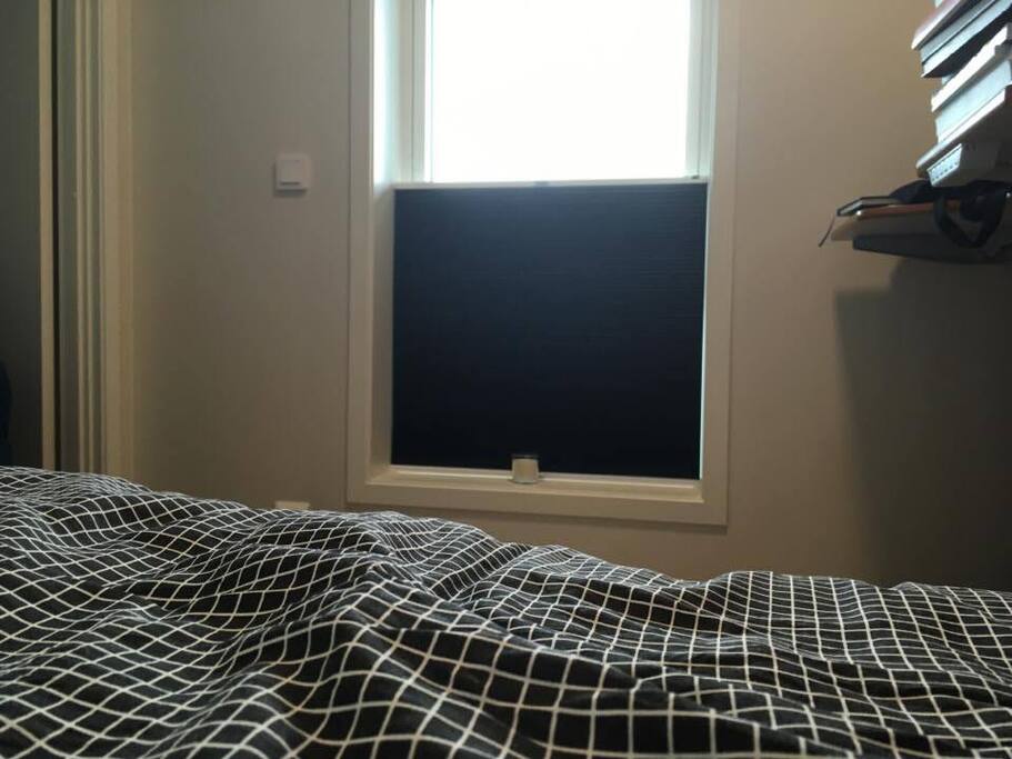 Window in bedroom
