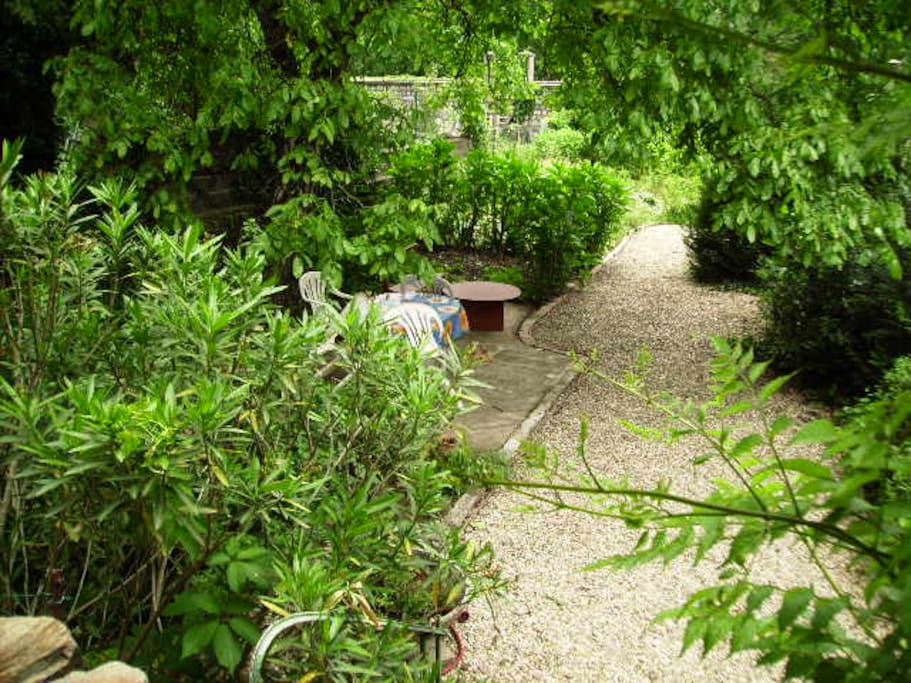 garden