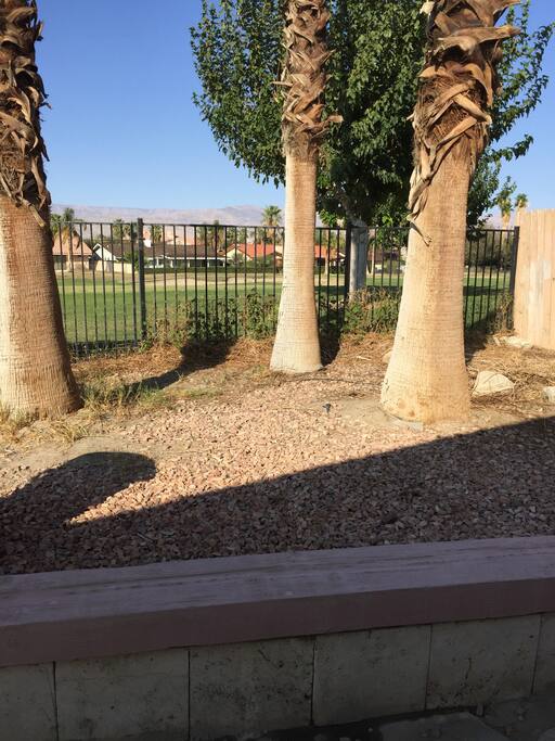 VIEW OF OUR GOLF COURSE FROM CASITA. INDIAN SPINGS GOLF COURSE