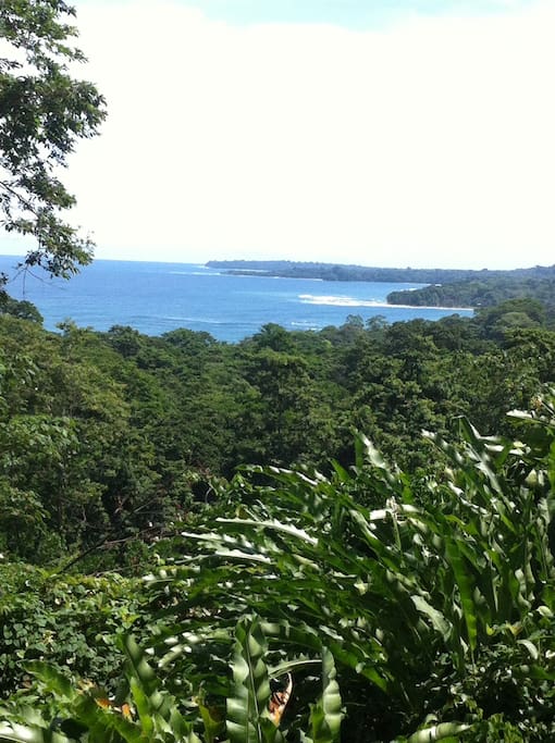 Caribbean Sea view from the chocolate forest