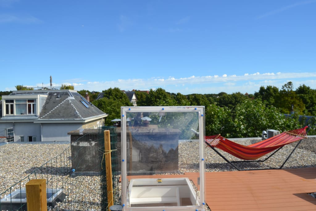 Rooftop