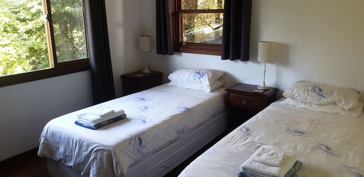 חדר שינה בקומת כניסה עם מיטות יחיד קינג סייז, דלתות מלתחה מראות ומאוורר תקרה. ניתן להפוך לזוג בגודל קינג סייז.