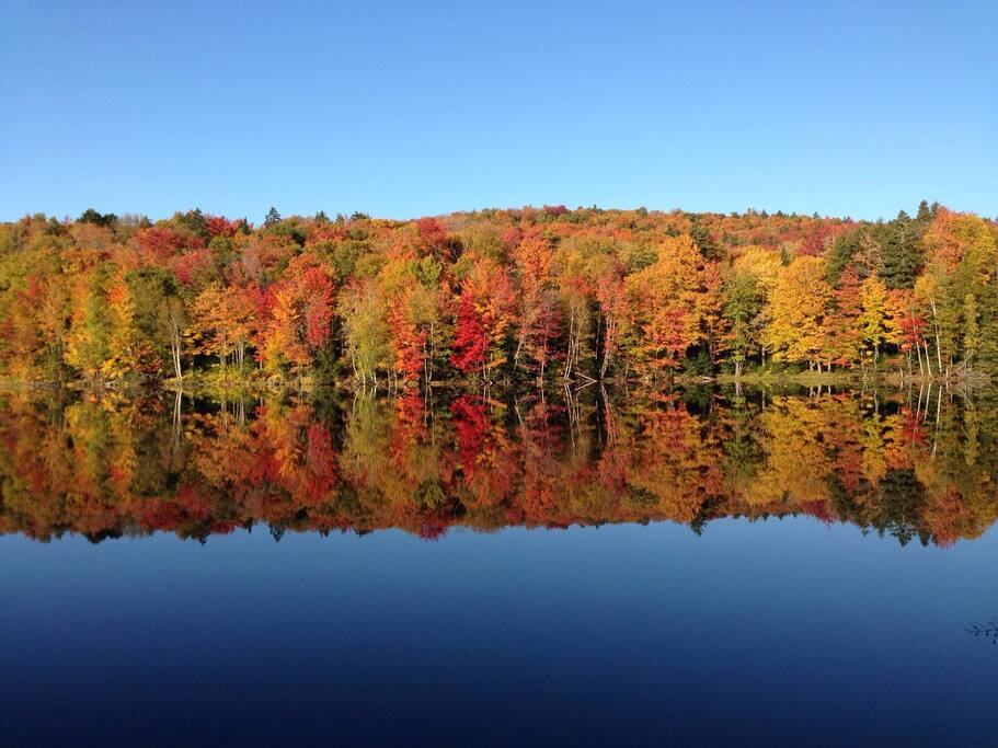 Quiet lake 400m from the house