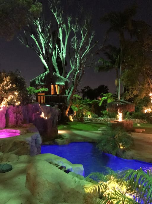Backyard at Night