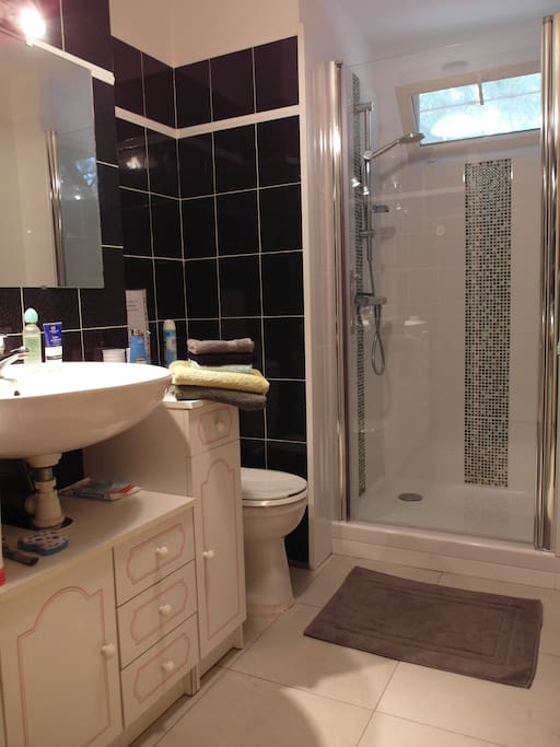 salle de bain 1