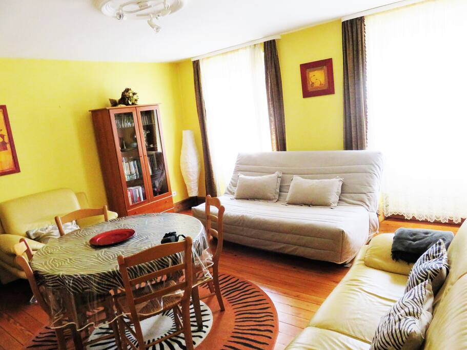 salon avec possibilité de couchage