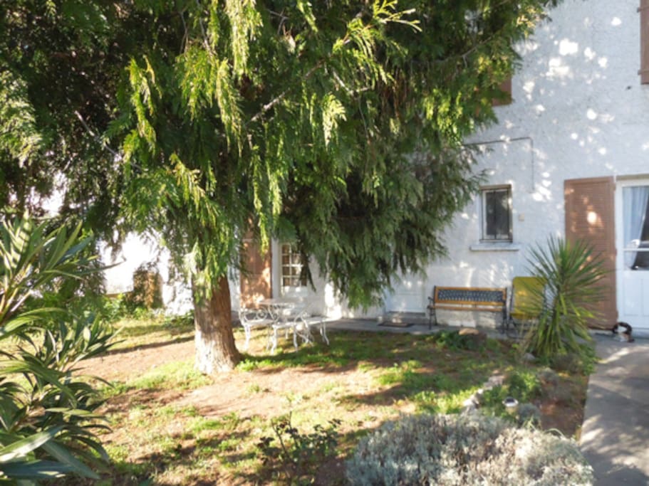 Le jardin