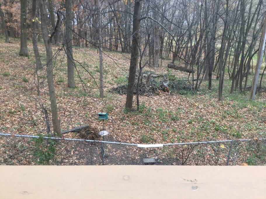Nature Center