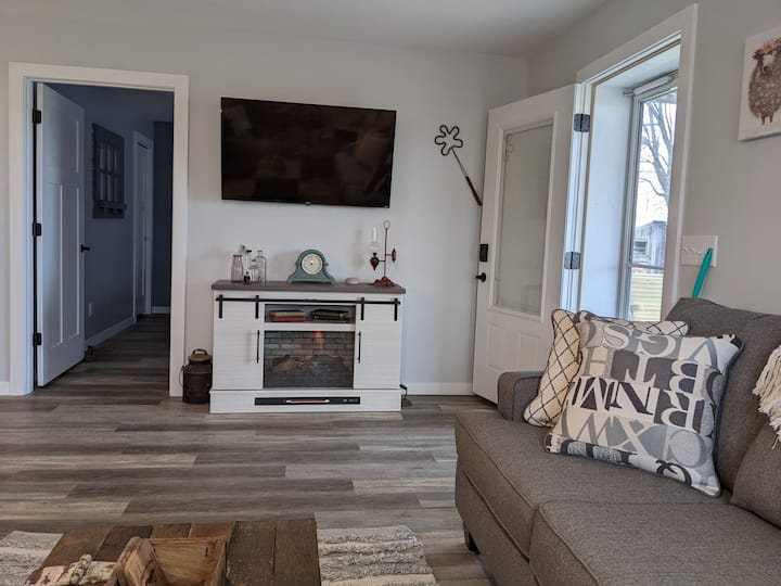 Electric Fireplace and 52" Smart TV