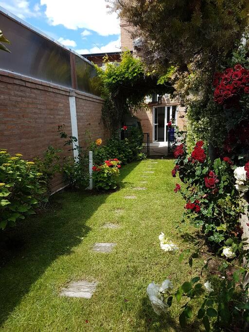 Rosas perfumadas