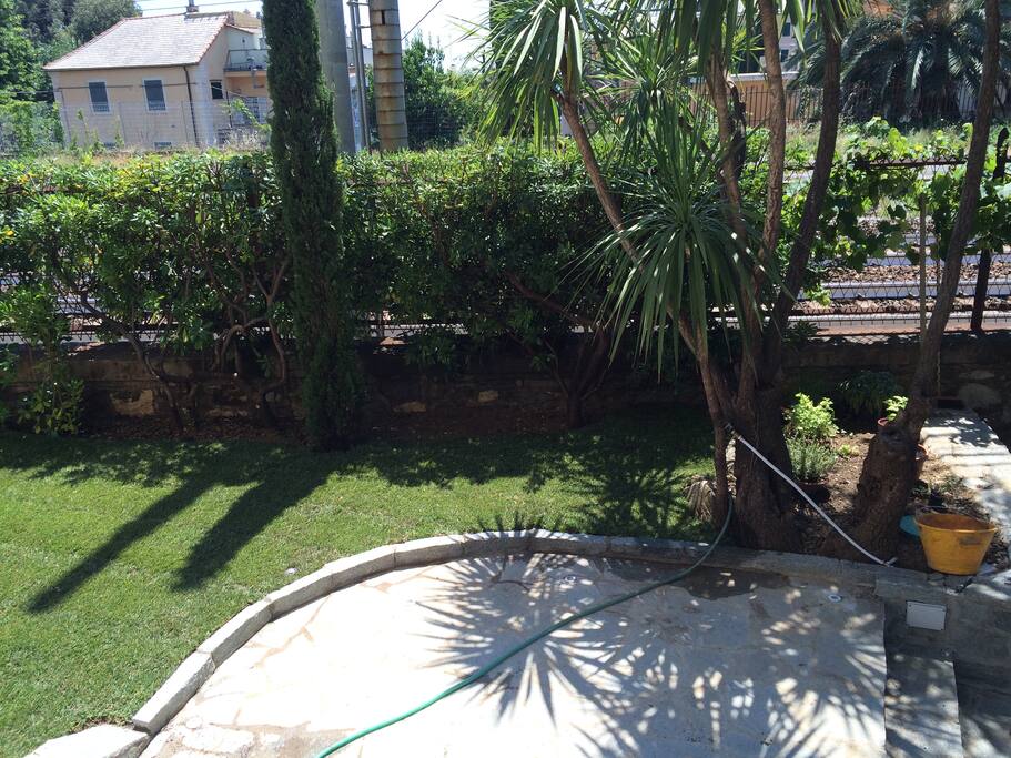 Giardino