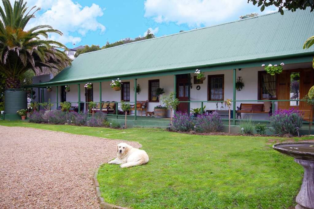 House Front View