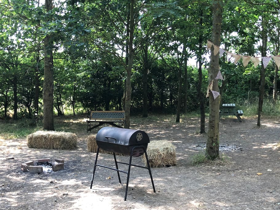 BBQ area near one of our Pitts Cabins