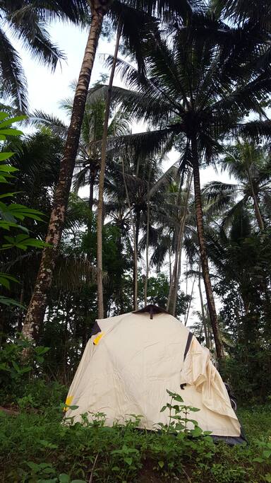 2 person tent