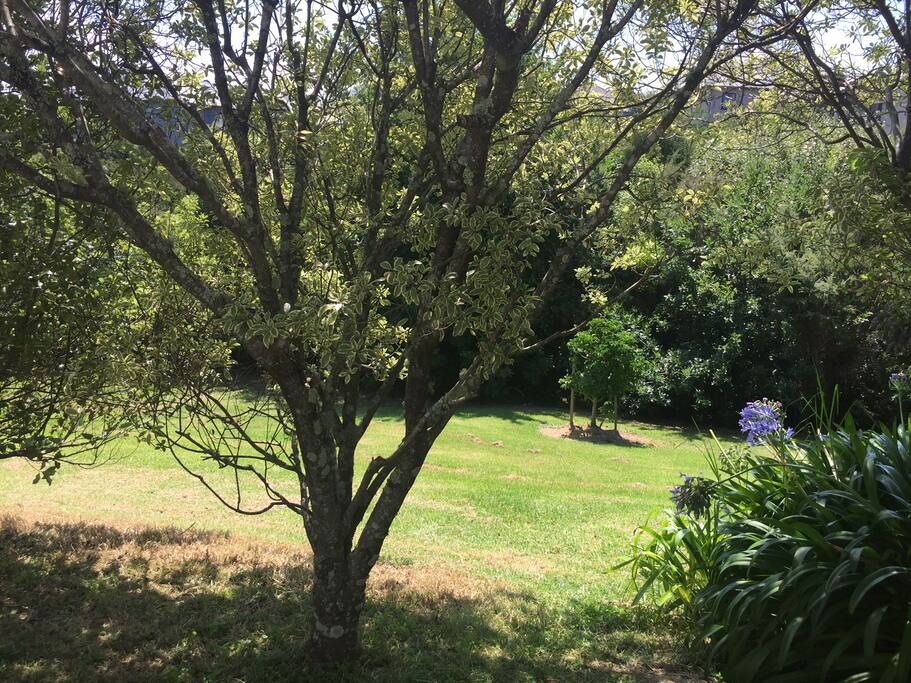 Out look to extended grounds. Take a short stroll or sit and watch the stars.