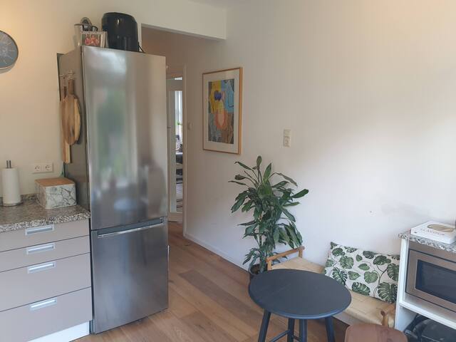 Spacious Family House with Garden in City Centre. gallery image 5