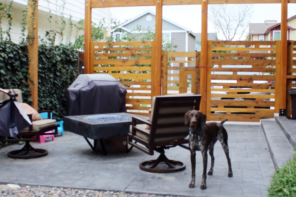 Large patio with gas firepit, BBQ gas grill and hammock chair.