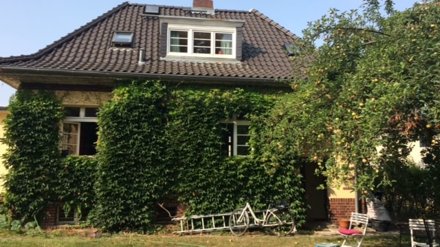 A charming house is framed by lush greenery, with ivy climbing its brick facade. The roof features multiple skylights, and an apple tree is visible nearby. A bicycle leans against the house, with a ladder resting on the ground in the grassy yard.