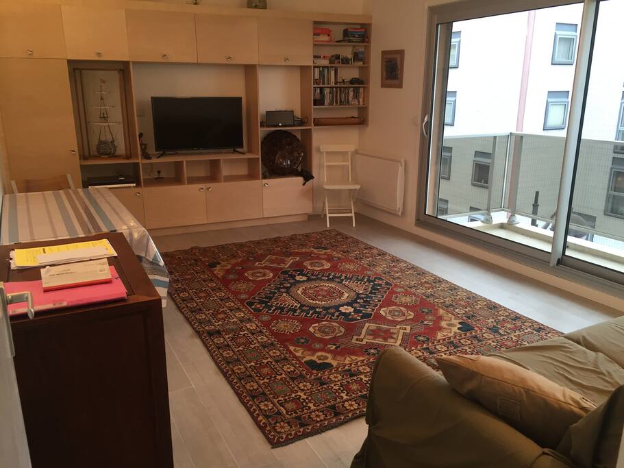 Séjour de 21 M2 avec TV par câble et connection internet /WIFI , accès balcon
