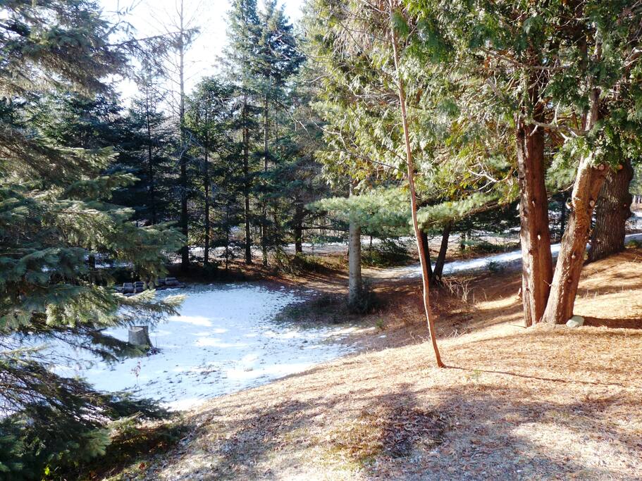 Grand terrain