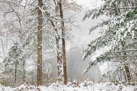 On River’s Bend Cabin | Woodstove | River Views