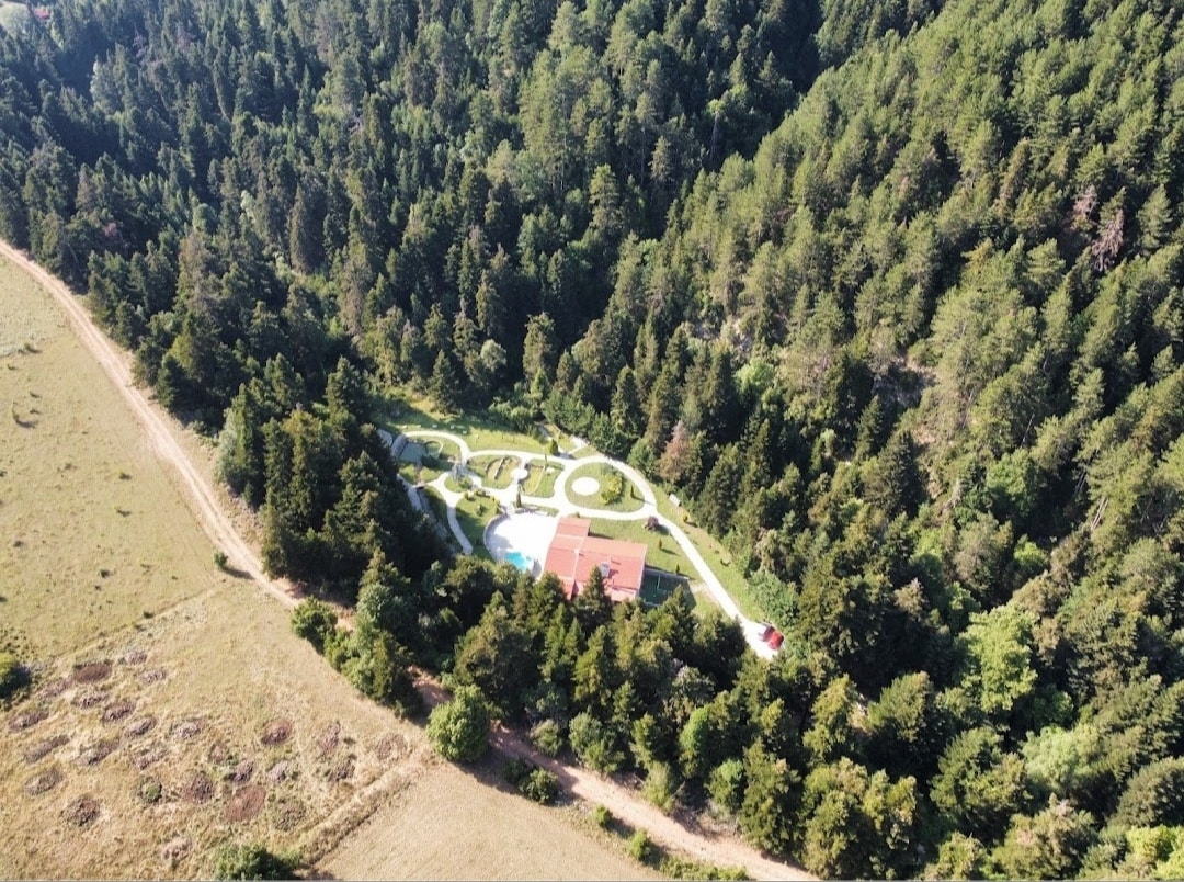 The aerial view captures the villa nestled amid dense forests, surrounded by lush greenery. The clear layout includes a swimming pool and landscaped areas, punctuated by pathways leading towards the home, which features a red roof, harmonizing with the natural landscape.
