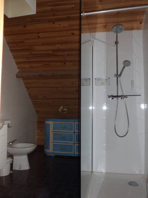 renovated bathroom with window, shower, wash bassin, bidet, large mirror