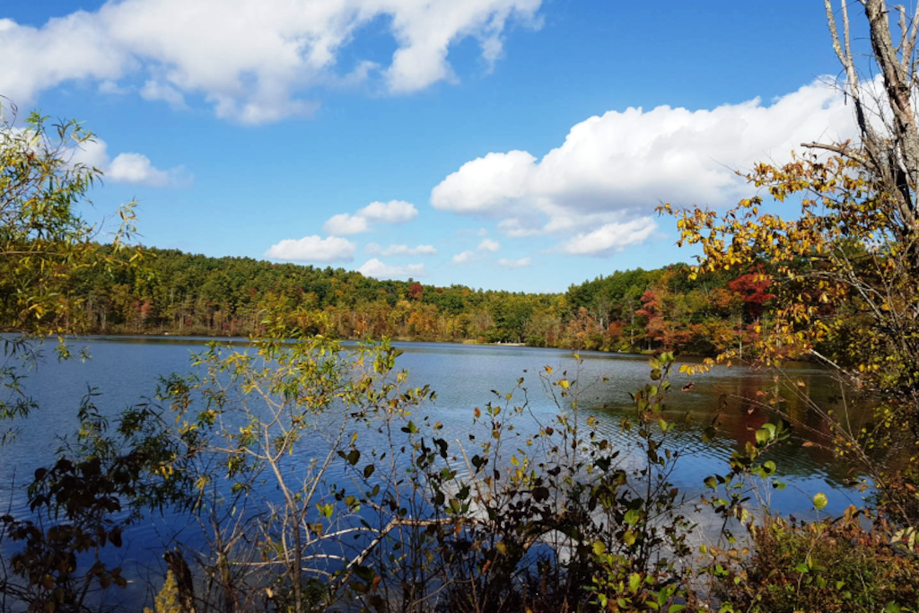 Lake Mansfield is only eight minutes' walk away, and Main Street with its many restaurants and shops is even closer.