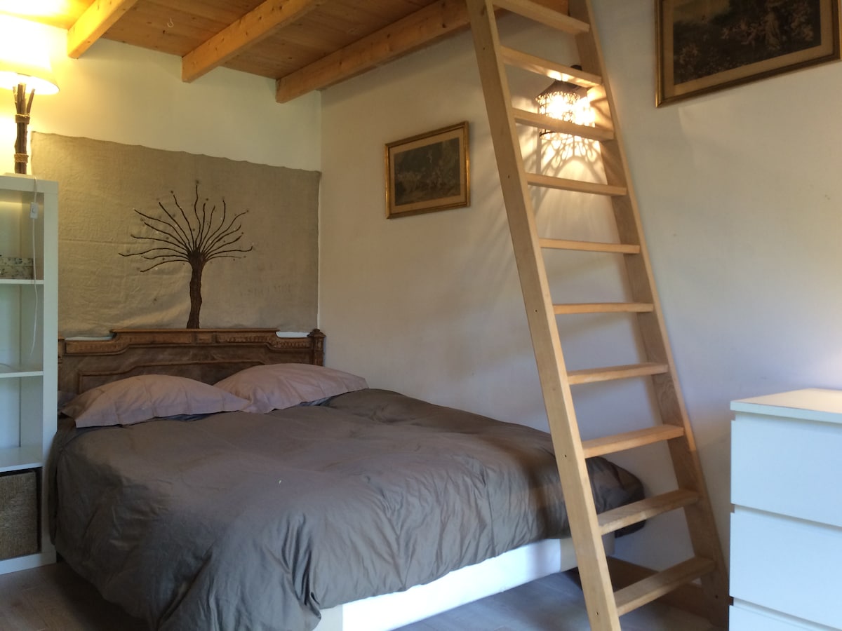 Საძინებელი კამილი