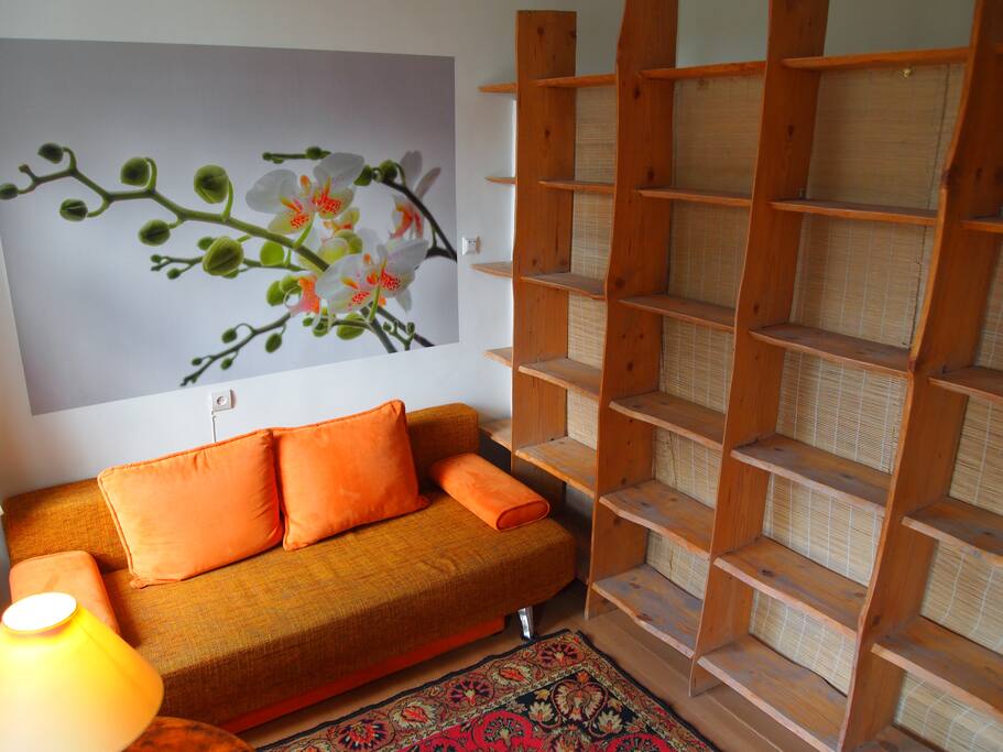 Guests room with sofa- bed