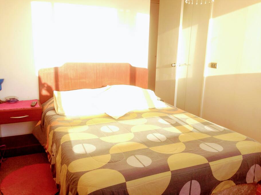 Bright Room overlooking the mountains.(If you don't want sunlight, you can down the backouts and ready)/ DESPIERTA con una despejada vista "HD" a la cordillera y Parque Forestal! Si no te gusta el sol, las cortinas son Backout!