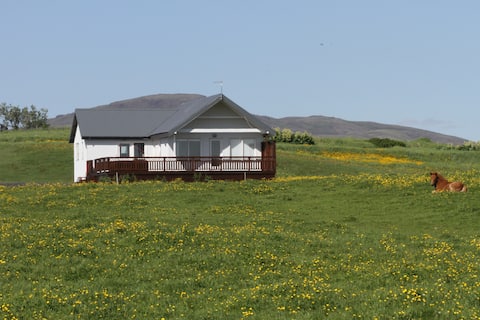 Uncle Guesthouse