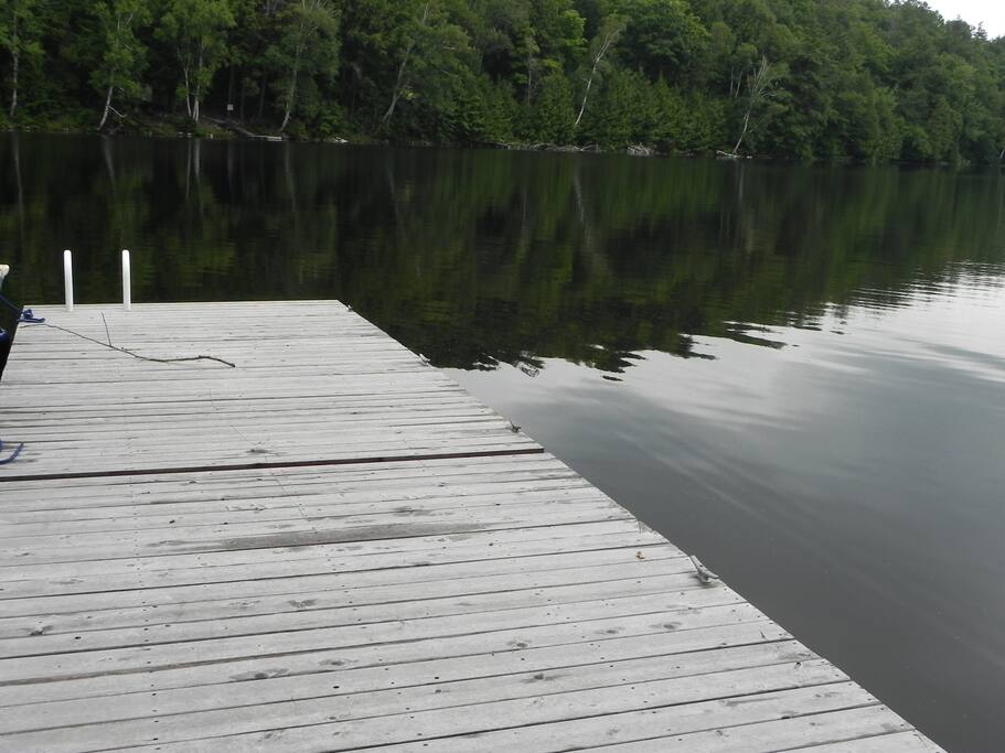 Excellent swimming off dock