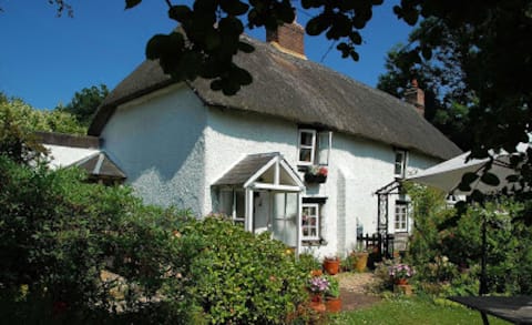 Top performing Airbnb: Brightside Cottage in East Dorset