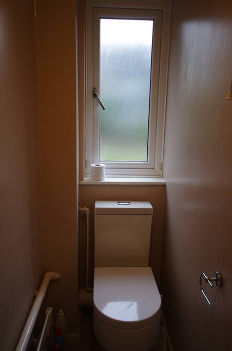 a small toilet just opposite hallway.