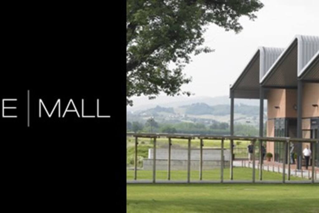 Centro commerciale TheMall ansolo 5 minuti