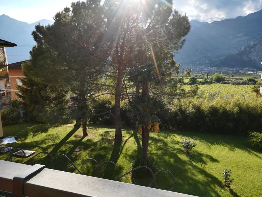 Vista sul giardino