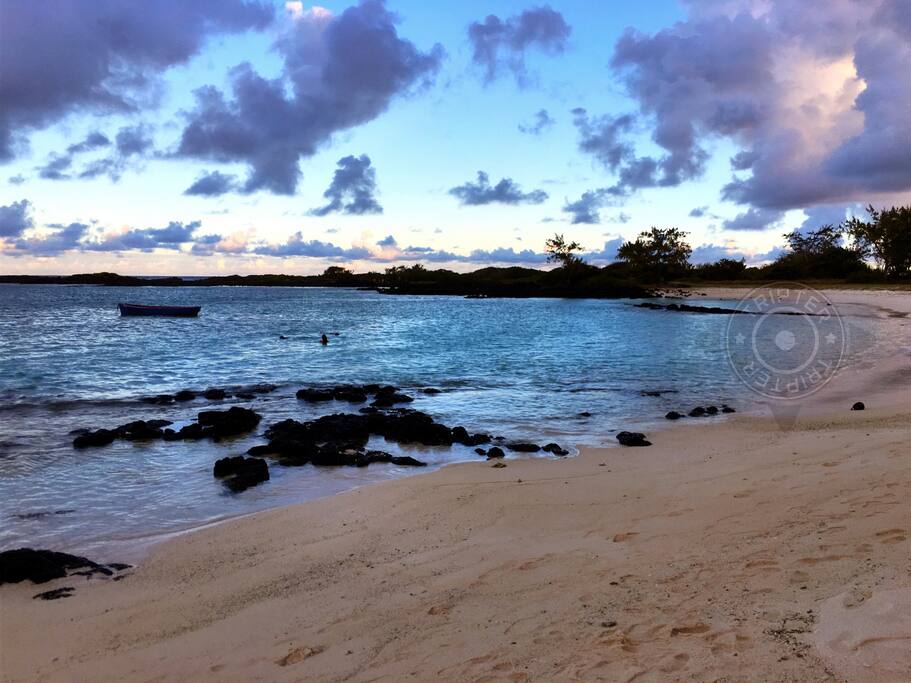 The beach (40m walk)