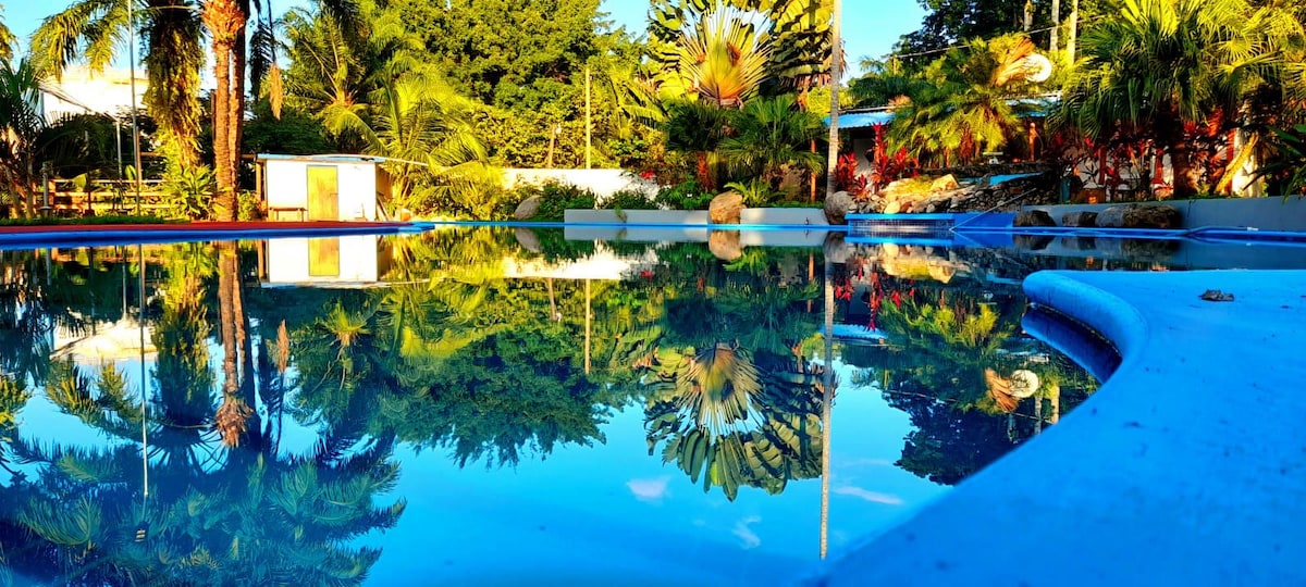 A serene pool reflects lush greenery and vibrant tropical plants. The clear water captures the surrounding palm trees and garden, creating a calming atmosphere. The pool area is designed with gentle curves and smooth edges, inviting relaxation and enjoyment.