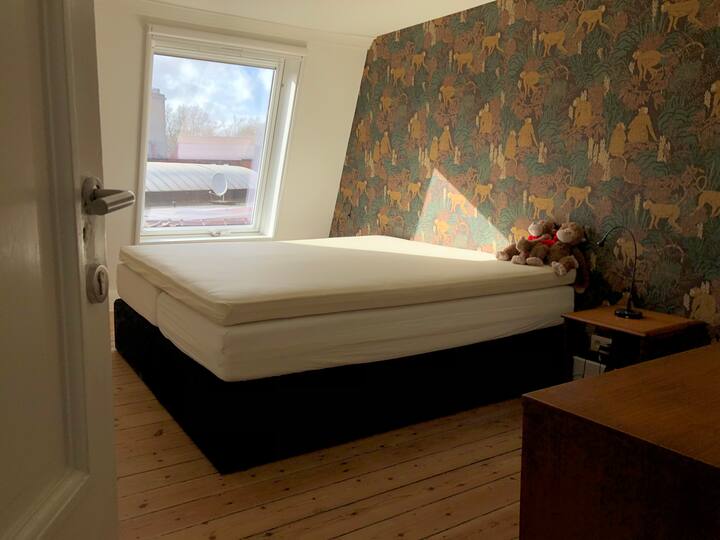 Kortrijk center: accommodation up to 8 guests