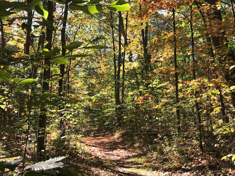 Fall colors and four season hiking / biking