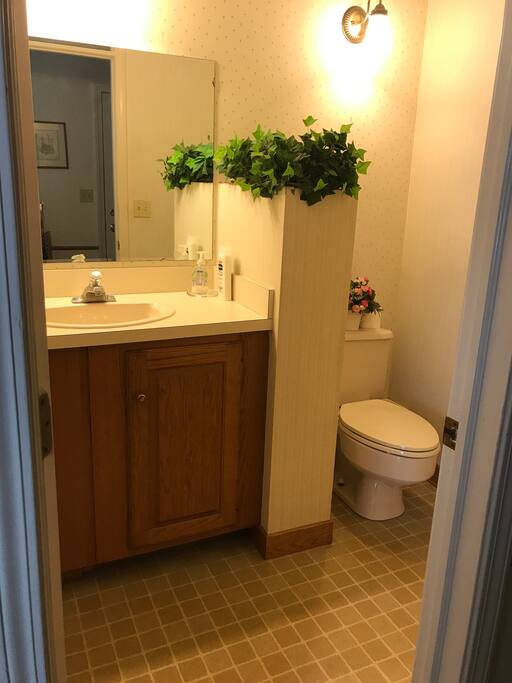Downstairs Bathroom with Shower