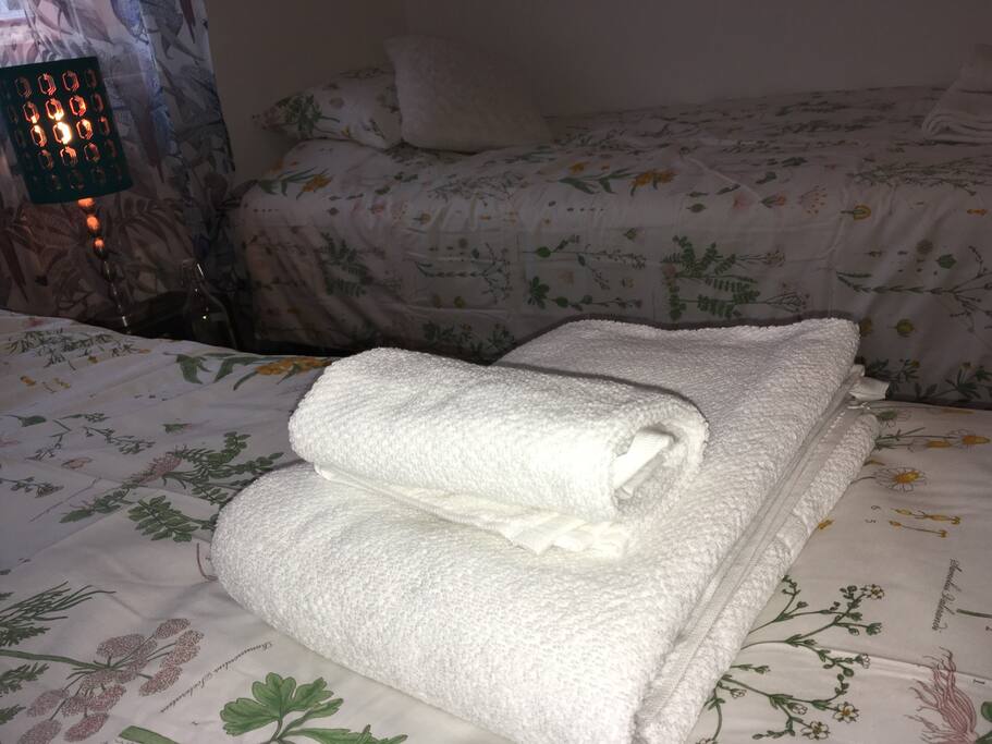 Always clean towels in your room. Please, do not use our towels.