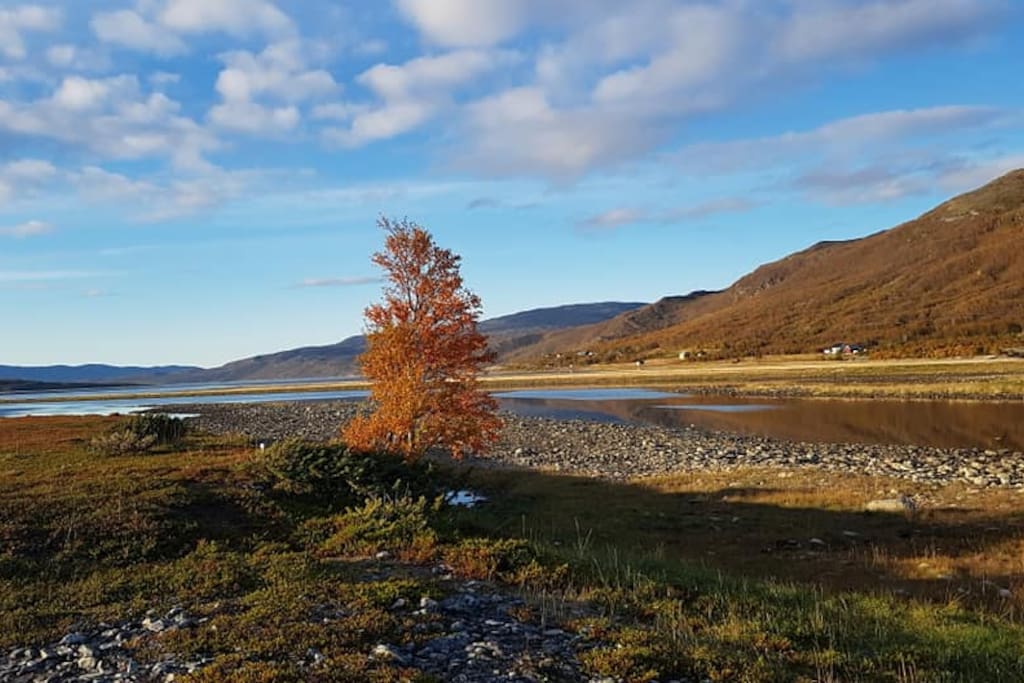 Autumn colors - northwest Fjord view